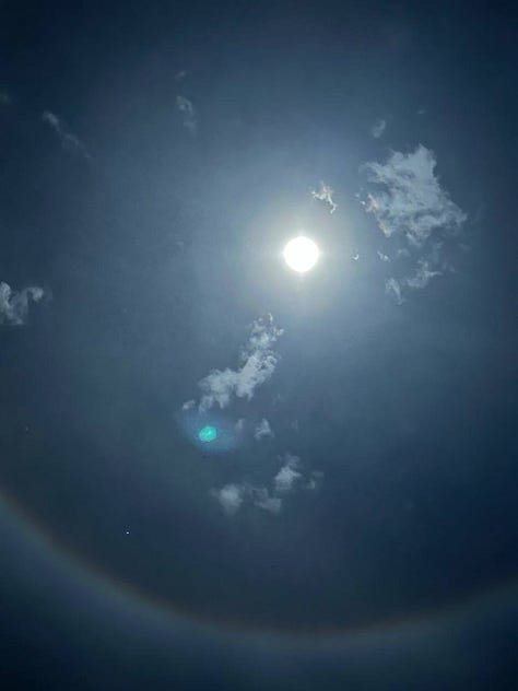 Wolf Moon January 25th, 2024