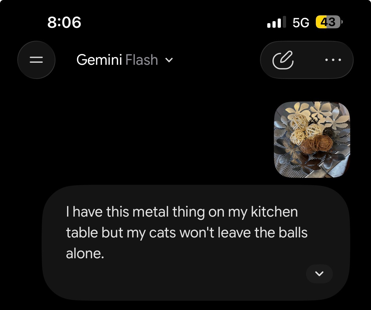 screenshot of my first prompt to Gemini