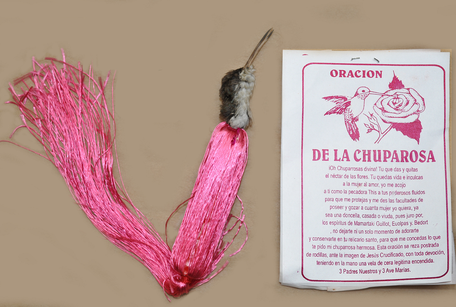 chuparosa-usfws.jpg | FWS.gov