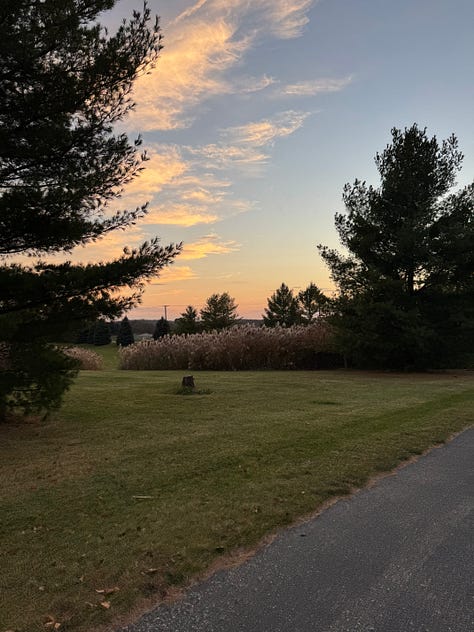 Three sunset pictures of strips of clouds in the sky with an orange glow to them, some trees visible in the foreground but the focus is on the clouds reflecting sunset light.