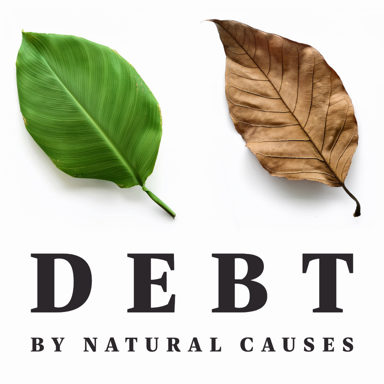 Debt by Natural Causes