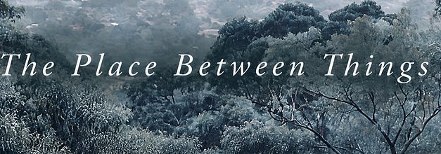 The Place Between Things