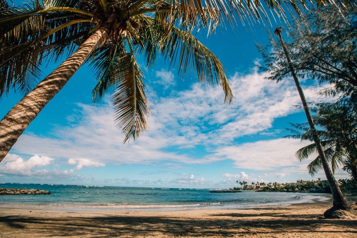 Things to Do in Dorado | Discover Puerto Rico