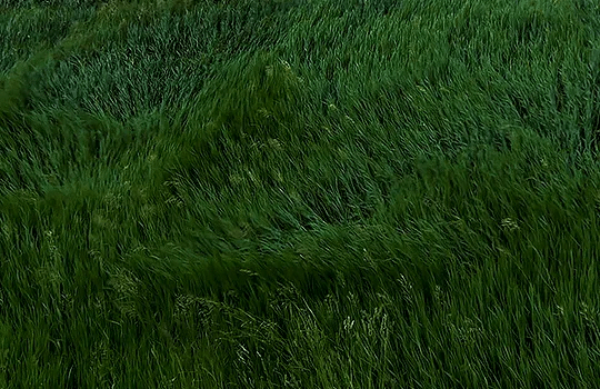 Thumbnail of The Rabbit Hole 🕳🐇 issue no.47 Thumbnail of The Rabbit Hole 🕳🐇 issue no.47