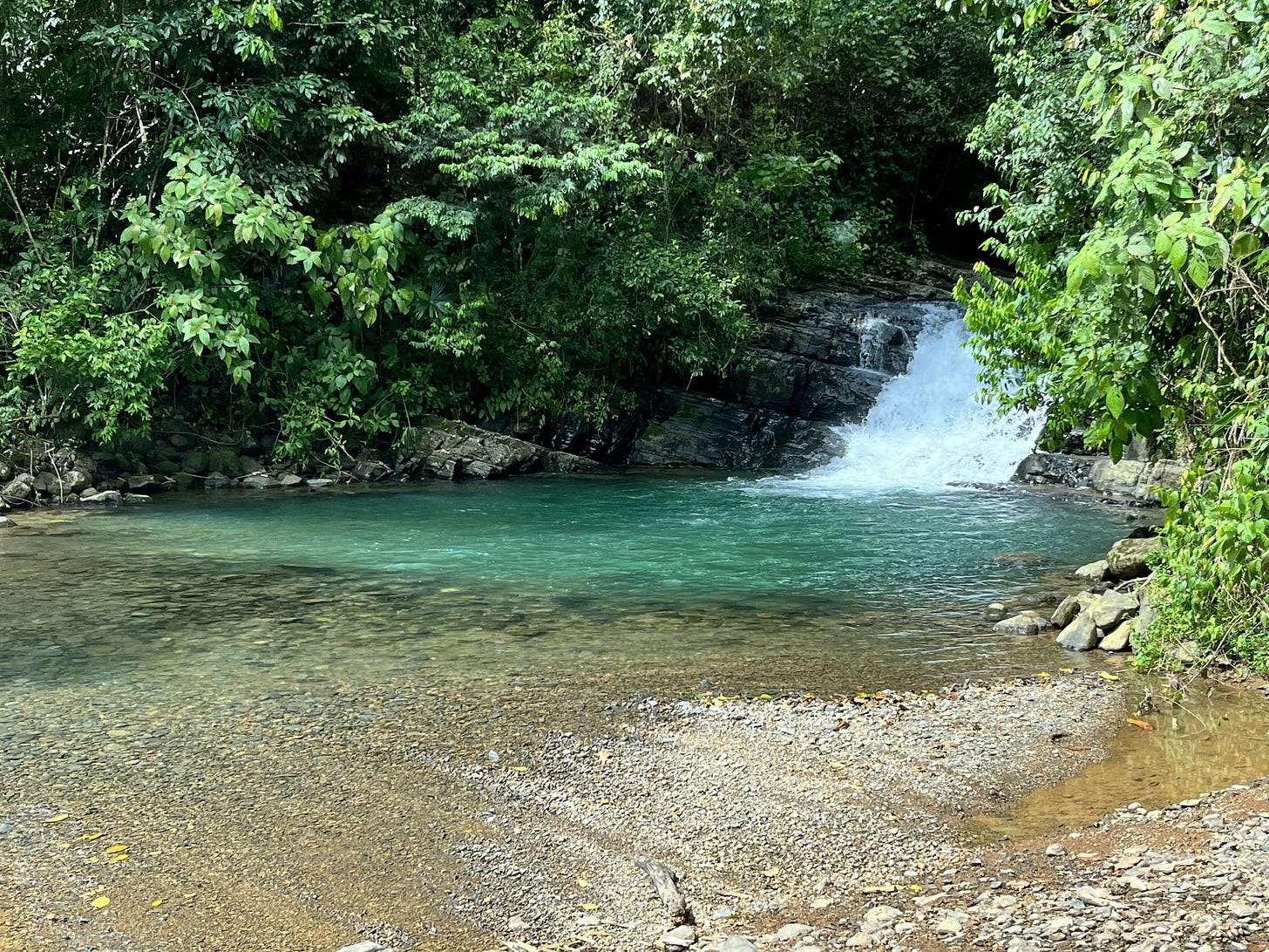 041: Choosing Life, Choosing You! 041: Choosing Life, Choosing You!