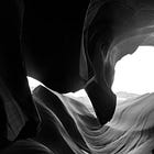 Learnings from Nature: Evolution Favors Experimentation 