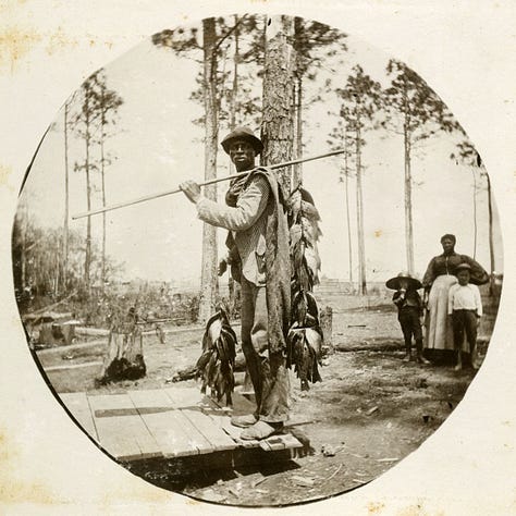 black swamp workers posing in black and white photographs from early 1900s with pine cypress and mangrove trees behind them