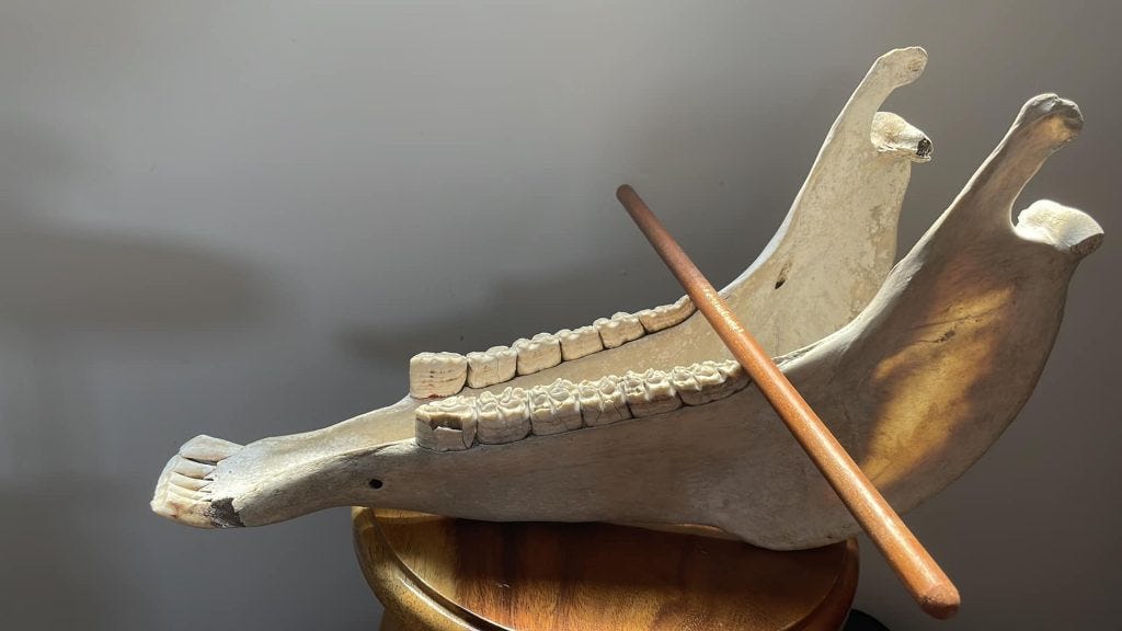 The Carraca, a mare jaw with loose teeth rests on a stool. On top, a wooden stick used to create sound from the teeth.