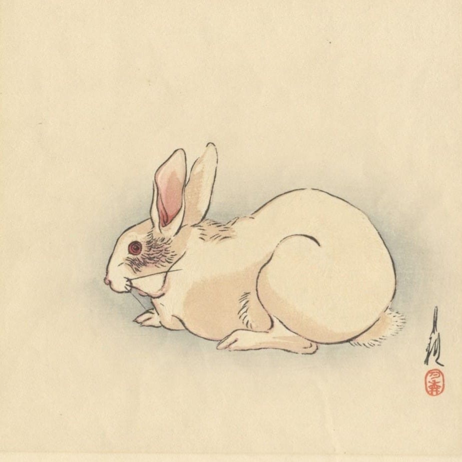 Gekko Ogata, White Rabbit