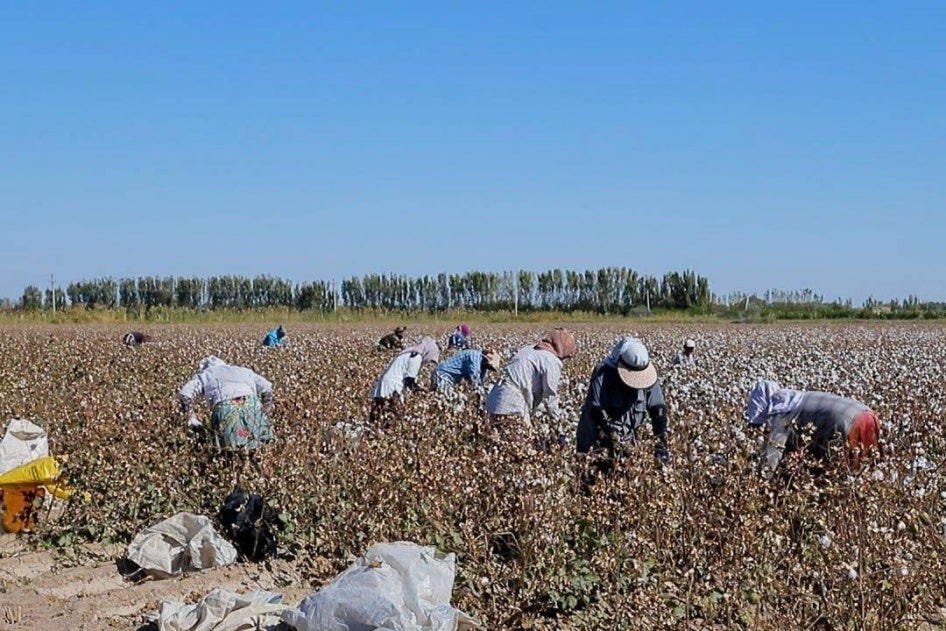 Farmers Have No Freedom”: Abuse and Exploitation of Cotton and Wheat Farmers  in Uzbekistan | HRW