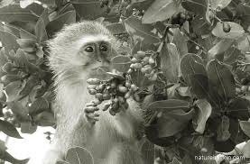 I came across this video recently that left me deeply disturbed ...