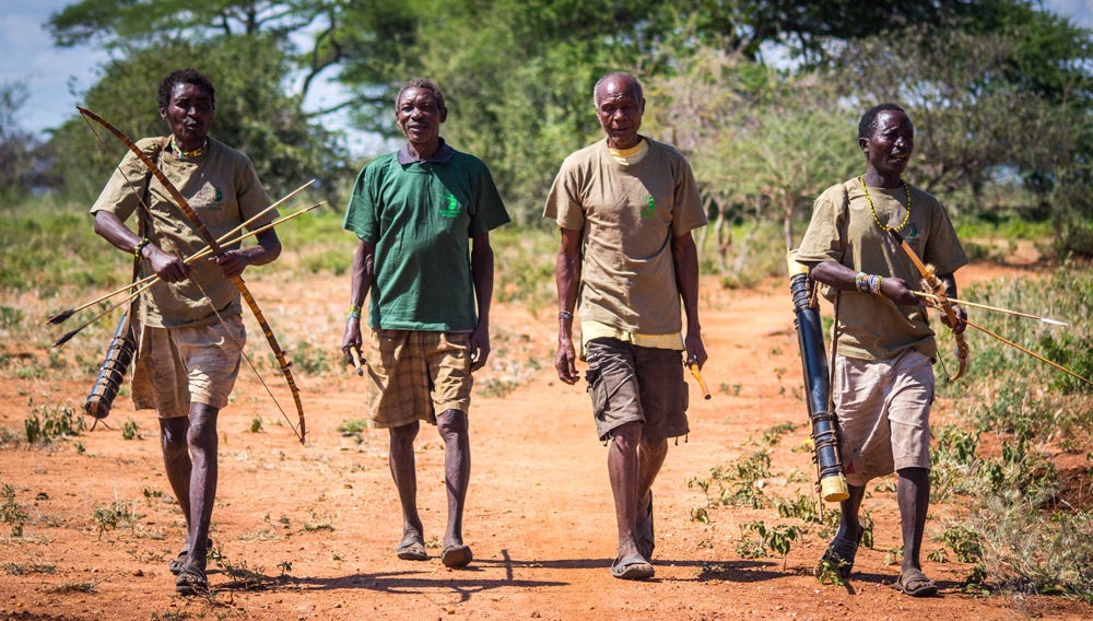The conservation solutions helping Tanzania's Hadza protect their culture,  lands, and livelihoods — Maliasili