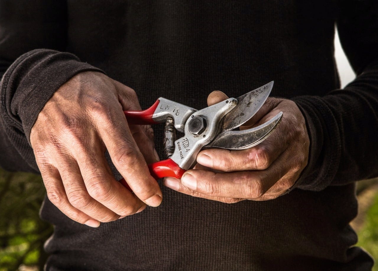 Felco Orchard & Garden Pruners Felco 4 - Bloomling International