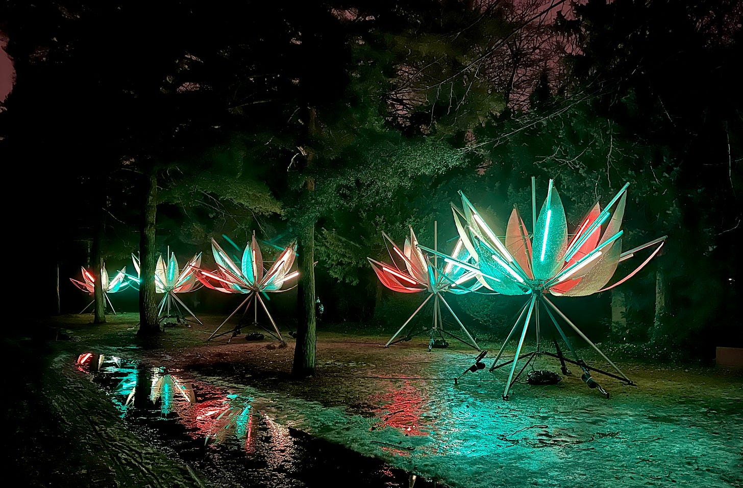 flowers sculpted with red and turquoise lights, against the silhouettes of trees in the dark