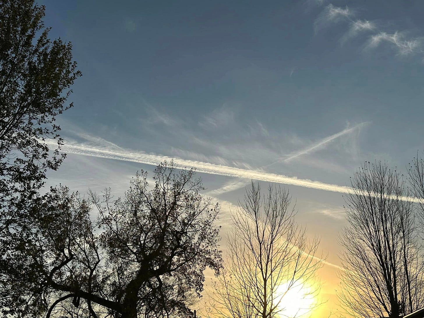 No photo description available.