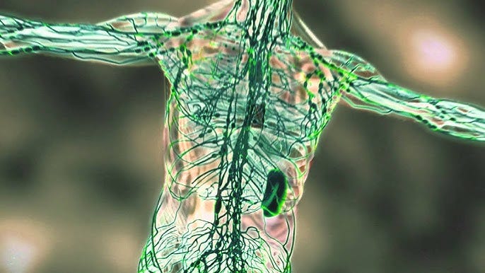 The Immune System: Running as Preventative Medicine - Sports Science:  Running