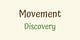 Movement Discovery