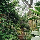 Get your garden started | part 4: sunlight