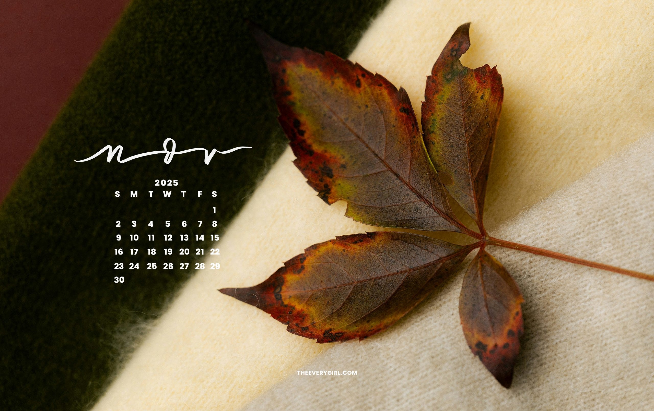 November 2025 Tech Backgrounds: Free, Downloadable Wallpapers!, image size:2560x1610