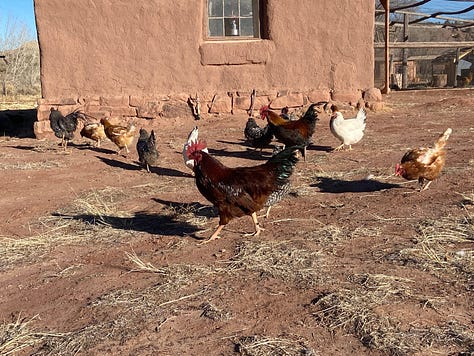 Photos from J.L. Hubbel Trading Post