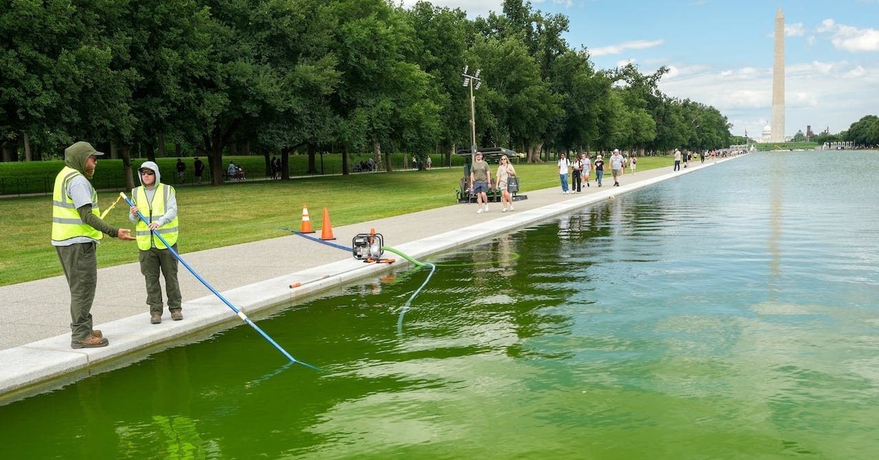 Trump spent $14M US to make reflecting pool look blue. Now the water is green | CBC News Trump spent $14M US to make reflecting pool look blue. Now the water is green | CBC News