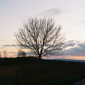 The Post in 24