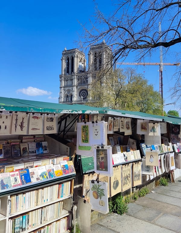 Bouquiniste near Notre Dame