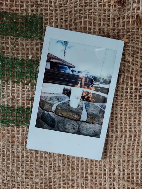 Instant photographs of coffee mugs or coffee drinking selfies by a bearded gentleman with a bald head.
