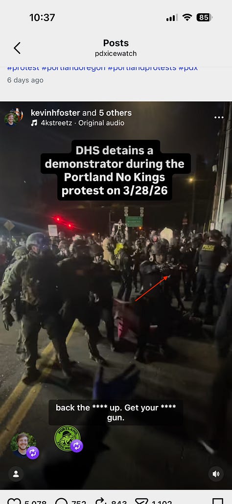 9 screen grabs from video showing ICE agents pursuing, hitting, and detaining protester in pink frog costume. The last three images show agent brandishing gun at bystanders.