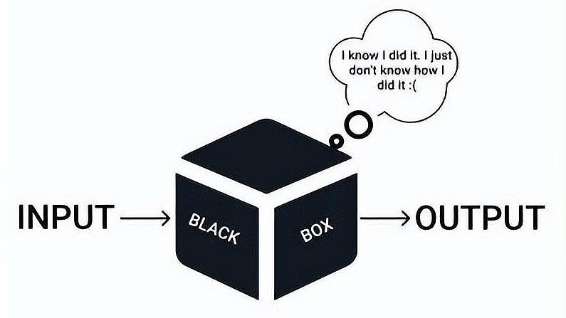 Understanding the Mechanisms Behind Black Box AI
