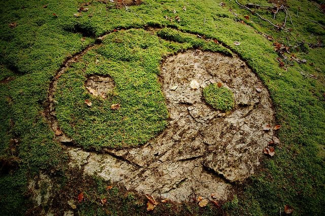 The Tao of Torah | Yin Yang Backdrops
