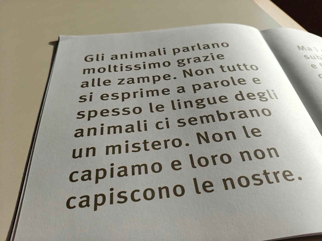 Una fotografia ravvicinata mostra una pagina di un libro o quaderno aperta, contenente un testo stampato in caratteri grandi e scuri. Il testo è in italiano e recita: "Gli animali parlano moltissimo grazie alle zampe. Non tutto si esprime a parole e spesso le lingue degli animali ci sembrano un mistero. Non le capiamo e loro non capiscono le nostre."