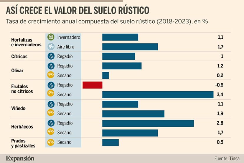 La revalorización del suelo rústico atrae el interés de los fondos de  inversión | Economía