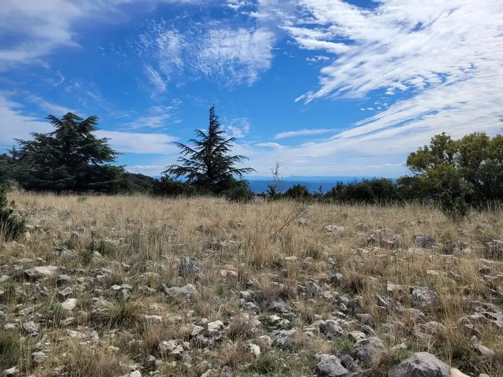 Manu Albert Manu Albert