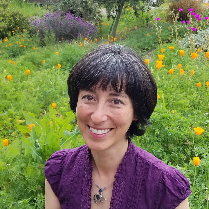 An Asian-American woman in a purple blouse with California poppies in the background and white man posing in a blue shirt at dusk