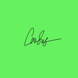 courtney summers—author diary