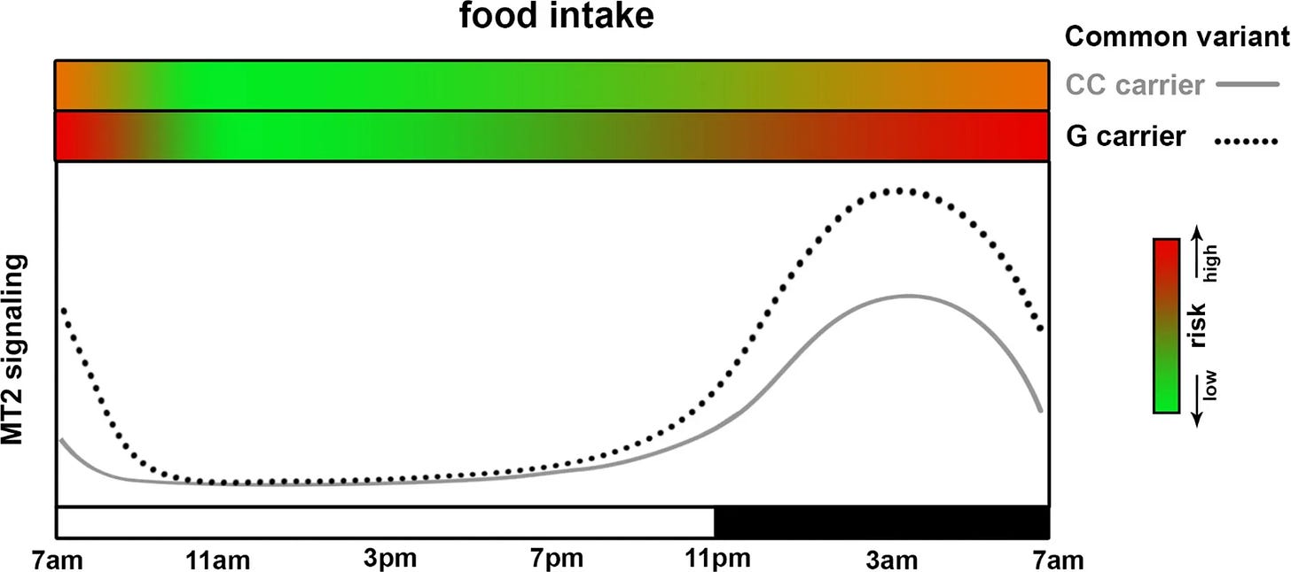 Effect of melatonin timing on glucose metabolism; interaction with common genetic variant in MTNR1B. The two green-red gradient bars on the top of the panel indicate the risk of glucose intolerance (red as high, green as low) when food intake happens at the given MT2 signaling level (dependent both on genotype and circadian phase) Melatonin and blood Sugar