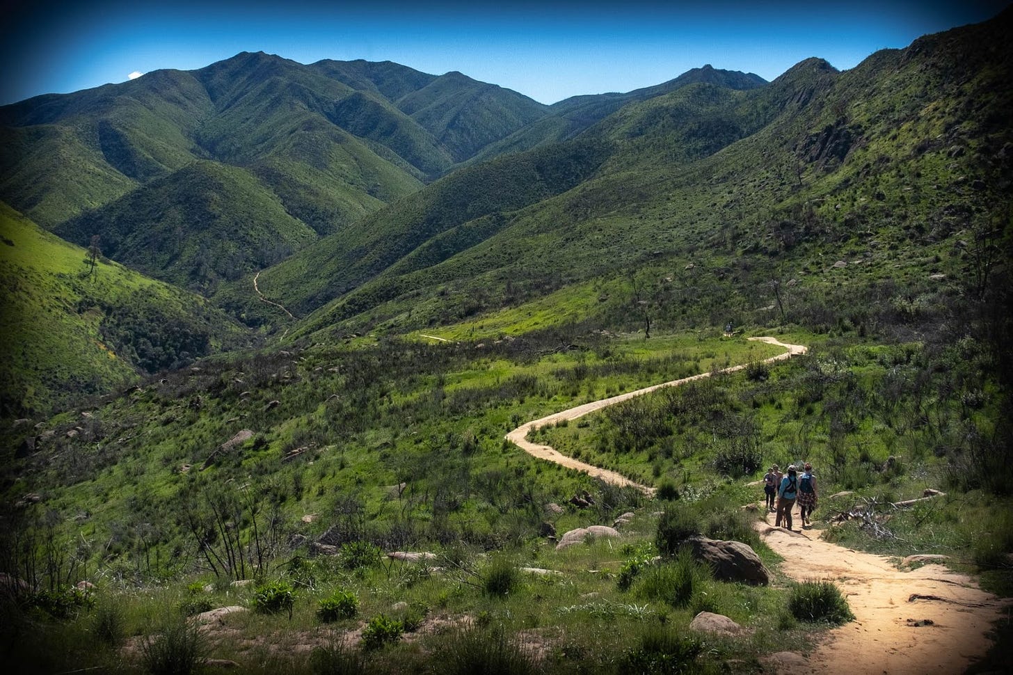 Photo of small people hiking along a long disappearing path into green mountains
