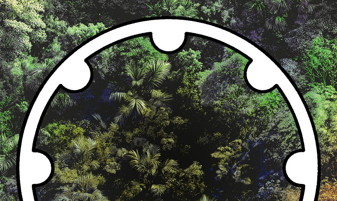 The Fabric and the Brain