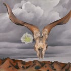 saturn in aries 𖨆 do you boo