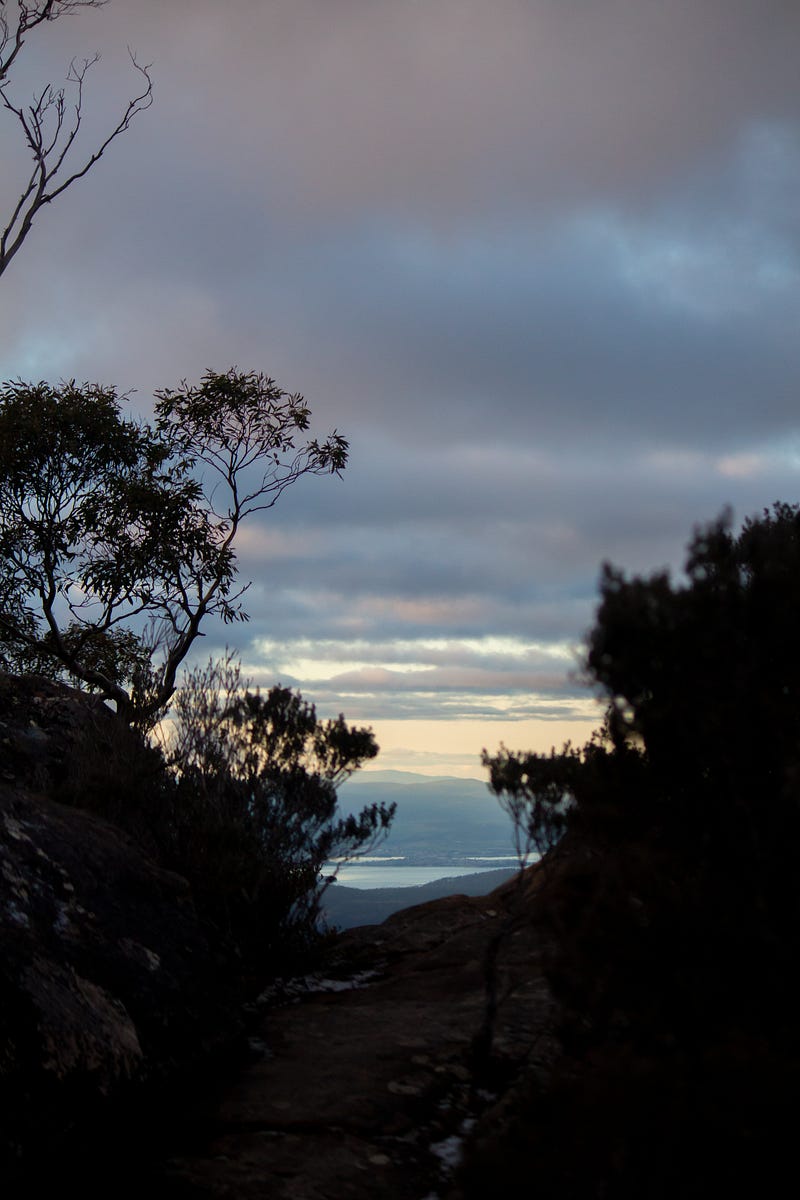 A secret lagoon with water and trees