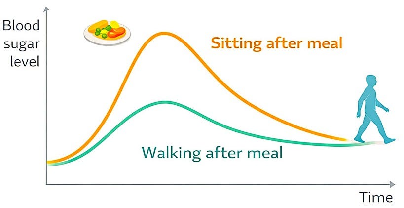 Walking after meals