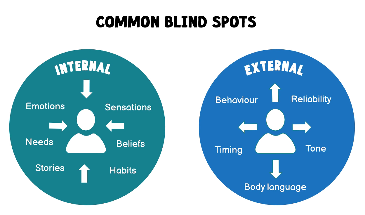 External and interal blind spots list - repeated from the text