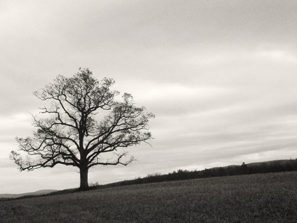 Dreary Landscape Dreary Landscape