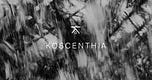 Koscenthia.com