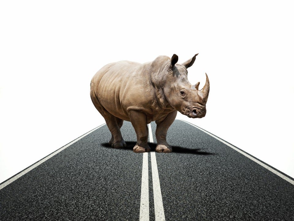 The Top Gray Rhinos of 2020