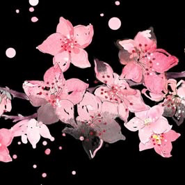 \ud835\ude81uby ݁ ˖Ი\ud801\udc7c