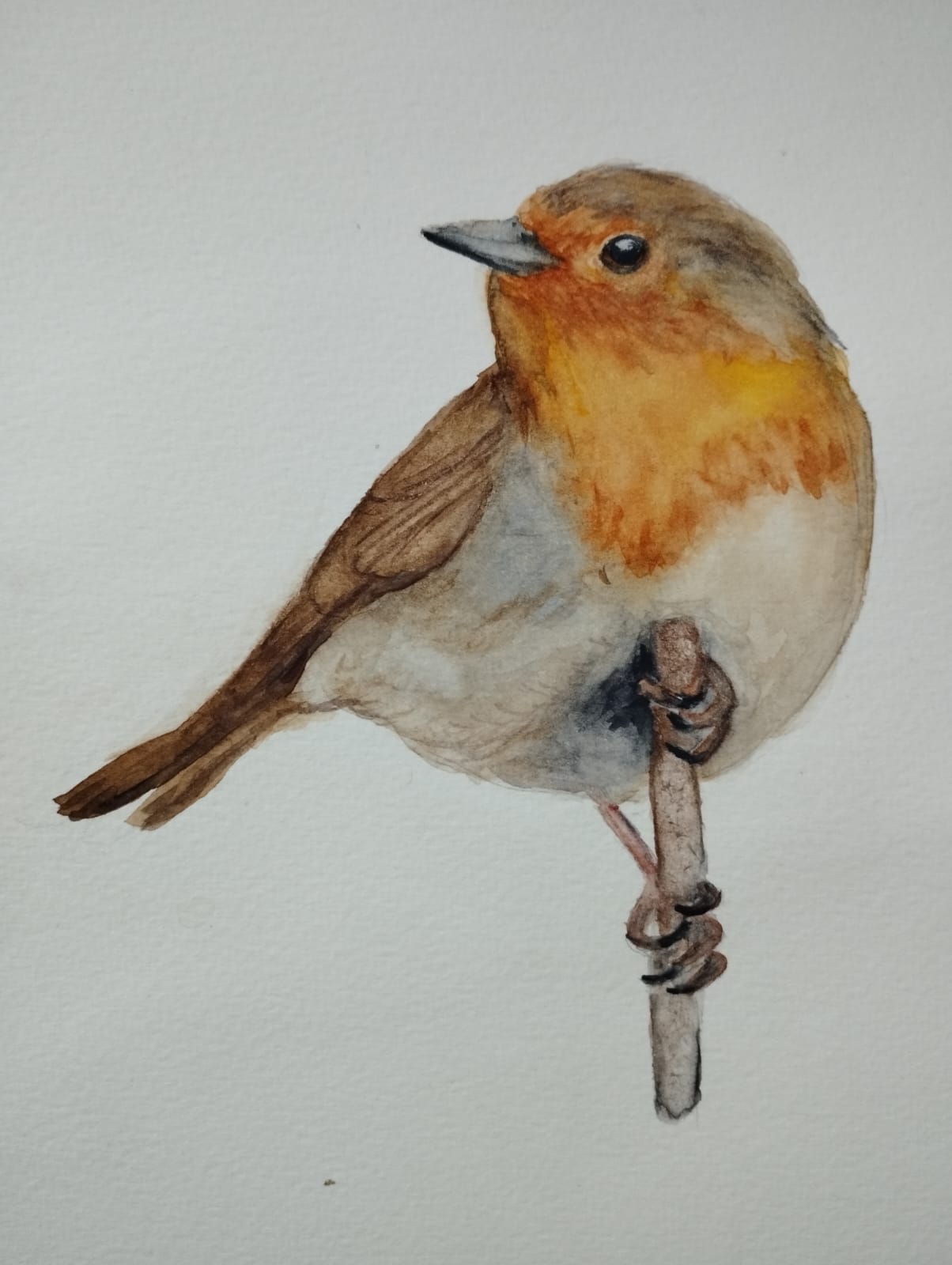 Los pájaros - by Amparo - Como una serendipia, image size:1204x1600