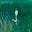 The Slow Wave's avatar