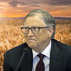 Bill Gates Says ‘Every Piece Of Bread I’ve Ever Eaten Is From Genetically Modified Wheat’ During Climate Conference In Kenya